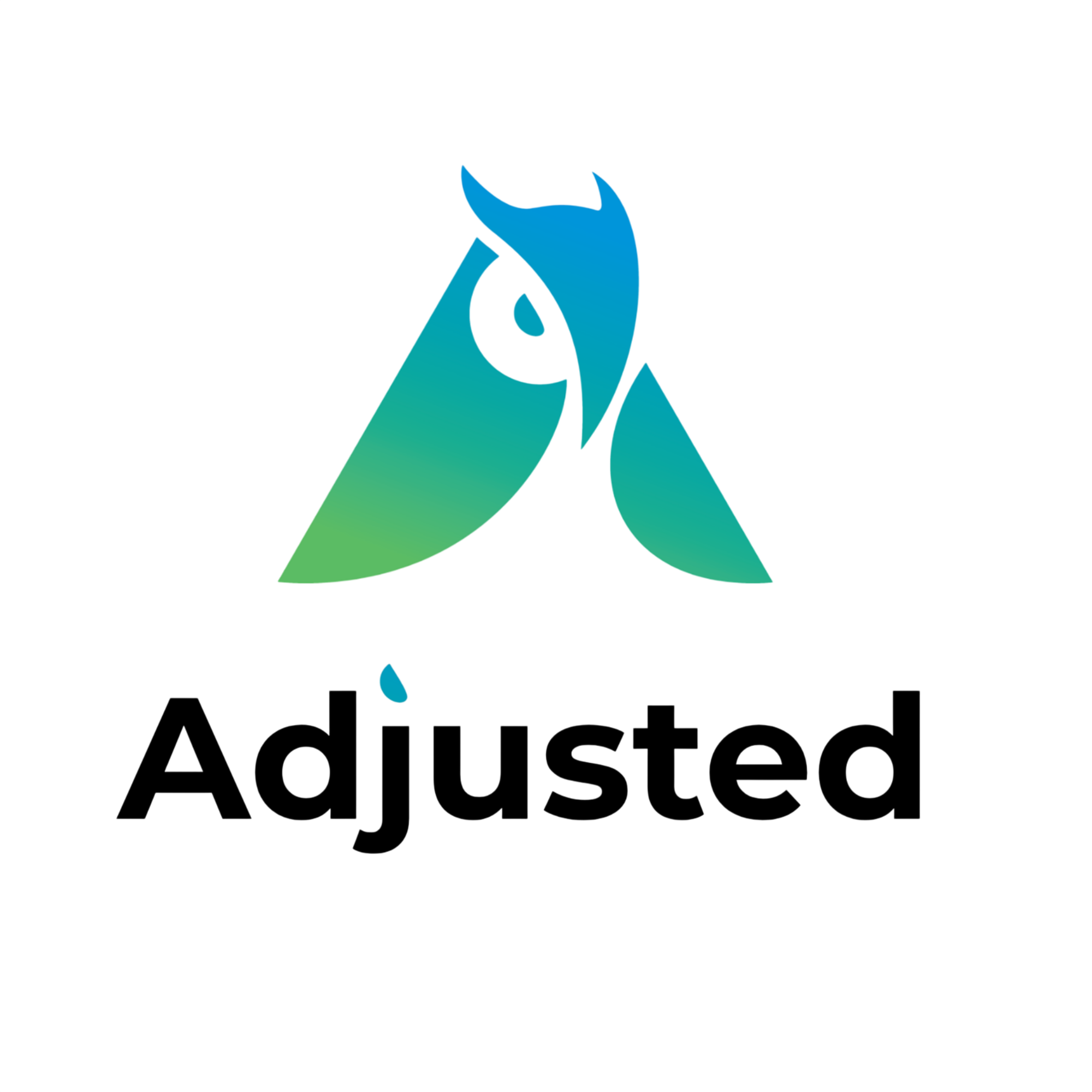 Adjusted.com